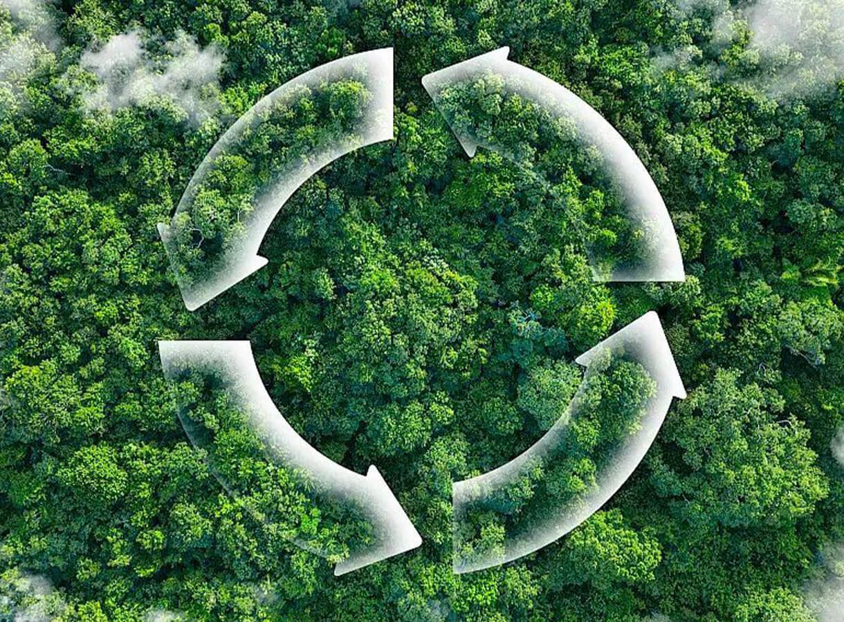 Sustainability 3